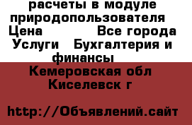 расчеты в модуле природопользователя › Цена ­ 3 000 - Все города Услуги » Бухгалтерия и финансы   . Кемеровская обл.,Киселевск г.